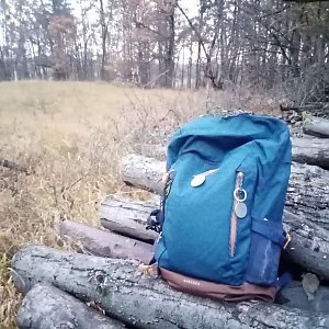 Jiřina na vrcholu Mlýnský kopec (2.11.2021 16:30)