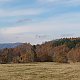 Nojby na vrcholu Na Pastvinách (3.11.2021 12:02)