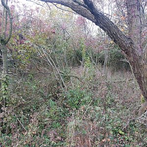 Cyklista 73 na vrcholu Třešňovka (12.10.2022 7:47)