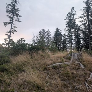 Radek Fuciman on the summit of Vrchpredmier (16.8.2026 19:13)
