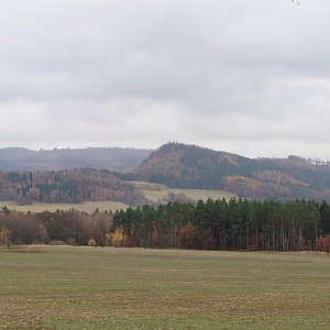 Nojby na vrcholu Tokaniště (8.11.2021 11:47)