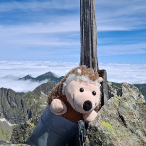 Pavel Svoboda on the summit of Veľká Vidlová veža (20.6.2024 10:27)