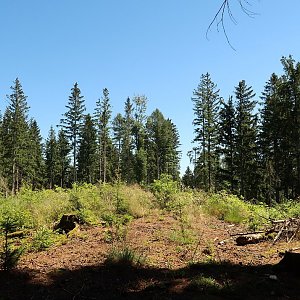 Bouřka na vrcholu Pavlův vrch (3.7.2022 11:16)