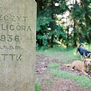 Broumovská vrchovina