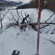 Mykas na vrcholu Výrovna (16.1.2024)