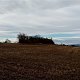 Jiřina na vrcholu Hlavní vrch (7.11.2021)