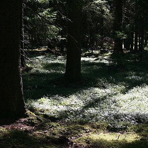 Bouřka na vrcholu Hořejší díly (3.7.2022 9:39)