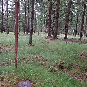 Nojby on the summit of Čupřina (9.7.2022 13:30)