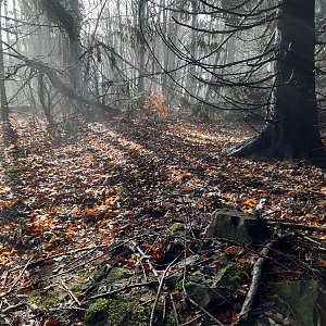 ZdenkaV na vrcholu Bukovina (6.11.2022 10:54)