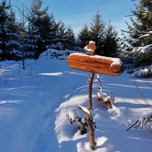 Šárka na vrcholu Veľký Javorník (26.12.2024 13:07)