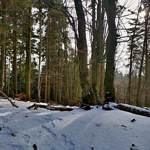 Martin Horáček na vrcholu Kykula (16.1.2022 13:00)