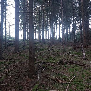 Cyklista 73 on the summit of Jakubice (8.5.2023 19:54)