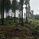 VěrkaN na vrcholu Bärenstein (5.7.2022)