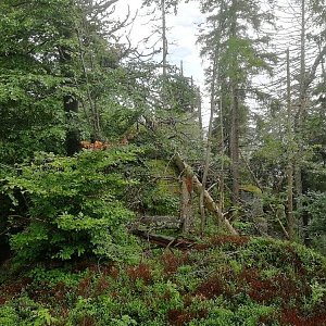 VěrkaN na vrcholu Ahorstein (5.7.2022 17:24)
