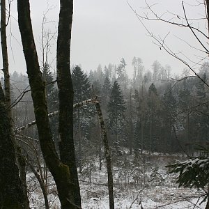 Bouřka on the summit of Bernartický vrch (27.12.2021 10:32)
