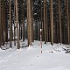 Marcela Kubíčková na vrcholu Činov (12.12.2021 11:50)