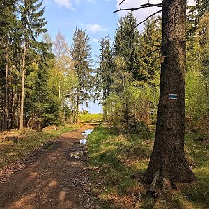 Martin Matějka na vrcholu Róg (8.5.2022 10:59)