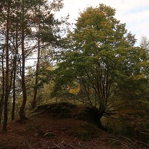 Bouřka na vrcholu Nad skládkou (30.9.2022 17:43)