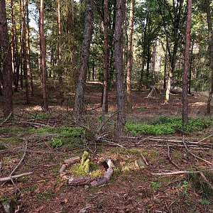 Švihovská vrchovina