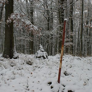 Holi na vrcholu Tlustá hora (19.11.2022 14:44)
