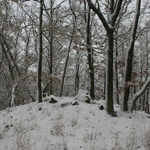 Holi na vrcholu Tlustá hora - SZ vrchol (19.11.2022 14:30)