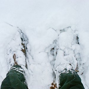 Holi na vrcholu Nad Novým mlýnem (19.11.2022 15:30)