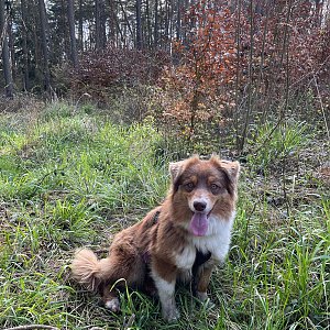 Marketa na vrcholu Střížov (19.4.2023 18:00)