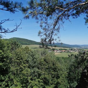 Figgo on the summit of Bezí (20.8.2020 12:30)