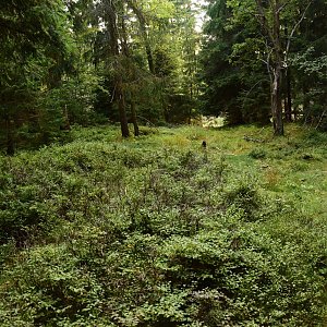 Veronika Trančíková na vrcholu Výhledy (24.9.2022 17:19)