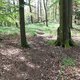Mykas na vrcholu Hora
