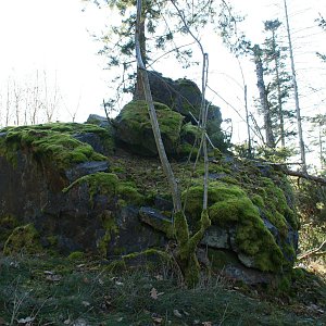 Holi na vrcholu Jindřín (7.1.2023 14:34)