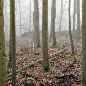 Vladimír Grančay na vrcholu Jindřín (4.3.2024 11:35)