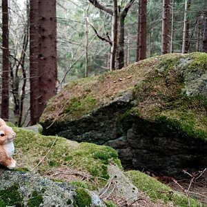 Moravskoslezské Beskydy