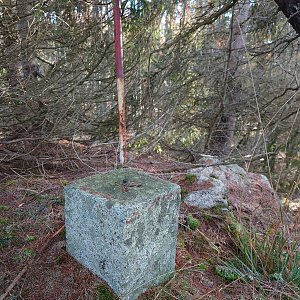 Nojby on the summit of Kružný (23.11.2021 12:51)