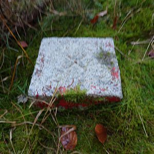 Nojby on the summit of Obora (23.11.2021 14:19)
