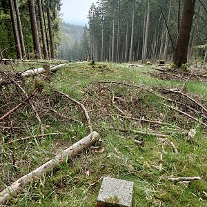 Nojby on the summit of Obora (16.5.2023 14:01)