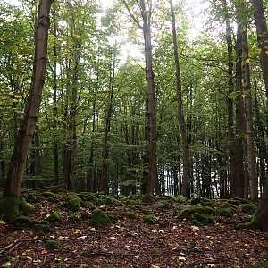 Holi na vrcholu Barák - S vrchol (28.9.2022 16:31)