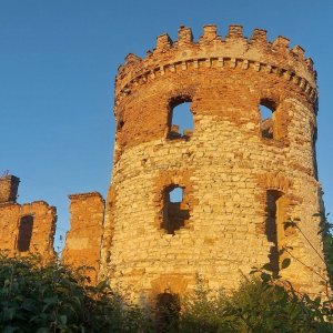 Mykas on the summit of Windsor (28.9.2025 18:12)