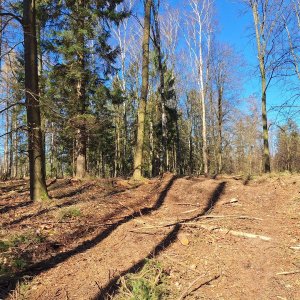 Cyklista 73 on the summit of Above Chalupský Stream (2025)