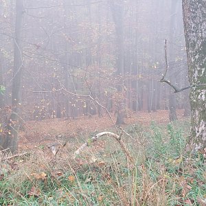 Cyklista 73 na vrcholu Kněžský vrch (1.11.2022 9:42)