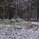 Nojby na vrcholu Počátecký vrch JV (27.11.2021 14:54)