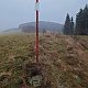 Nojby na vrcholu Černý kopec (27.11.2021 15:55)