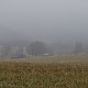 Nojby na vrcholu Černý kopec (27.11.2021 15:55)