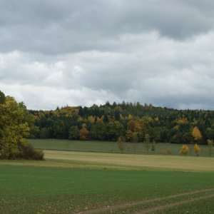 Holi na vrcholu Chlumec ZJZ (26.10.2023 15:05)