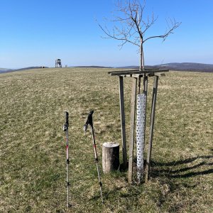 Radka D na vrcholu Žalostiná (3.4.2026 10:31)
