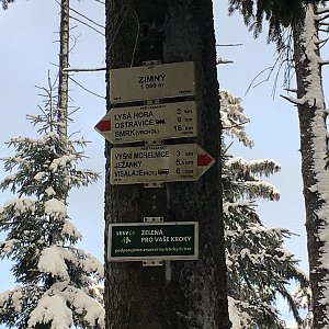 Dalas na vrcholu Zimný (2.1.2021 10:39)