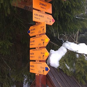 Gabča na vrcholu Zimný (8.2.2019 10:51)