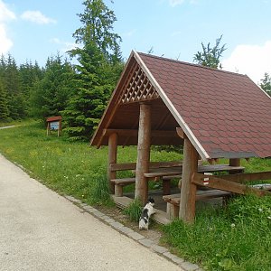 Ilona Mušálková na vrcholu Zimný (8.6.2019 12:30)