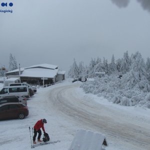 Nojby na vrcholu Klínovec (31.1.2026 14:25)