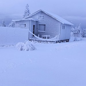 Lucca na vrcholu Klínovec (12.12.2020 12:34)